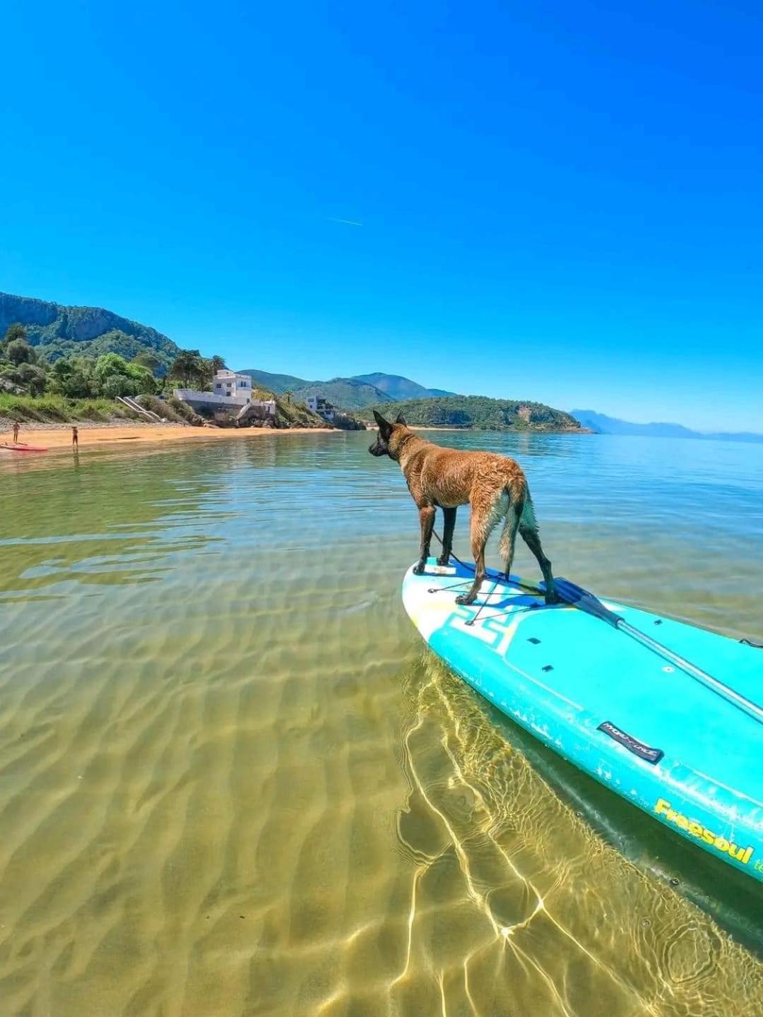 Hotel Plage D'Or 吉杰勒 外观 照片